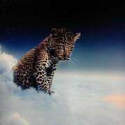 ヒメ日記 2026/01/31 21:52 投稿 しま 熟女の風俗最終章 新宿店