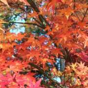 ヒメ日記 2024/12/09 18:03 投稿 みちる 熟女の風俗最終章 新宿店