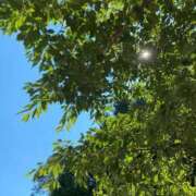 ヒメ日記 2025/05/14 14:42 投稿 みちる 熟女の風俗最終章 新宿店