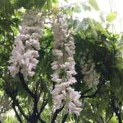 ヒメ日記 2025/06/07 14:42 投稿 みちる 熟女の風俗最終章 新宿店