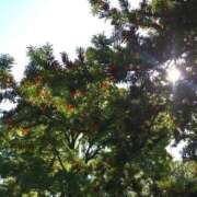 みちる こんにちは^ ^ 熟女の風俗最終章 新宿店