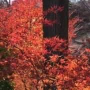 みちる こんにちは^ ^ 熟女の風俗最終章 新宿店