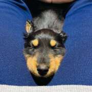 ヒメ日記 2025/01/31 16:17 投稿 あいな 岐阜岐南各務原ちゃんこ