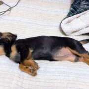 ヒメ日記 2025/02/28 16:57 投稿 あいな 岐阜岐南各務原ちゃんこ