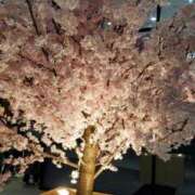 ヒメ日記 2026/03/29 08:52 投稿 えま 熟女の風俗最終章 新宿店