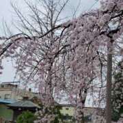 ヒメ日記 2026/04/10 10:27 投稿 えま 熟女の風俗最終章 新宿店