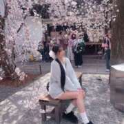 ヒメ日記 2026/03/25 09:49 投稿 えみ☆ 粋美　suibi