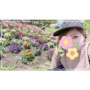 ヒメ日記 2025/11/09 00:07 投稿 西島すず Mrs. Dandy Yokohama