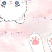 ヒメ日記 2025/06/09 00:21 投稿 四宮もね Mrs. Dandy Yokohama