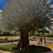 ヒメ日記 2025/02/07 22:07 投稿 佐々波エヴァ Mrs. Dandy Yokohama