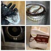 ヒメ日記 2025/08/21 17:56 投稿 佐々波エヴァ Mrs. Dandy Yokohama