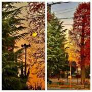 ヒメ日記 2025/12/04 18:31 投稿 佐々波エヴァ Mrs. Dandy Yokohama