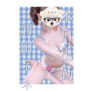 ヒメ日記 2025/06/13 12:32 投稿 浦田ねね Mrs. Dandy Yokohama