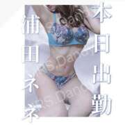 ヒメ日記 2025/11/27 11:41 投稿 浦田ねね Mrs. Dandy Yokohama