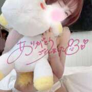 ヒメ日記 2025/03/23 06:21 投稿 舞白のん Mrs. Dandy Yokohama