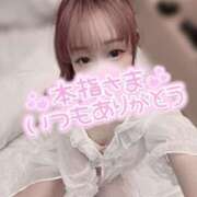 ヒメ日記 2025/04/01 04:41 投稿 舞白のん Mrs. Dandy Yokohama