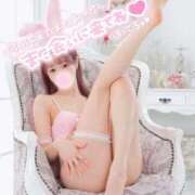 ヒメ日記 2025/05/28 05:41 投稿 舞白のん Mrs. Dandy Yokohama