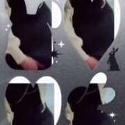 ヒメ日記 2026/03/22 17:39 投稿 藤原かえで Mrs. Dandy Yokohama