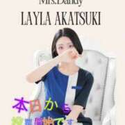 ヒメ日記 2025/10/28 15:58 投稿 暁月れいら Mrs. Dandy Yokohama