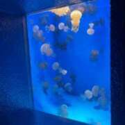 ヒメ日記 2025/11/05 22:37 投稿 真行寺きほ Mrs. Dandy Yokohama