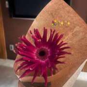 ヒメ日記 2025/01/21 13:05 投稿 新人 れみ DIVA-ディーバ-【DIVAグループ】