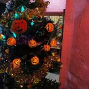 新人 れみ 昨日もありがとうございました🫨🤍 DIVA-ディーバ-【DIVAグループ】