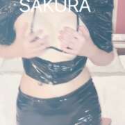 ヒメ日記 2024/12/23 14:31 投稿 サクラ 玉乱☆痴（たまらんち）