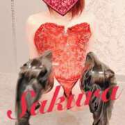 ヒメ日記 2025/01/24 19:24 投稿 サクラ 玉乱☆痴（たまらんち）