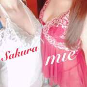 ヒメ日記 2025/02/05 14:26 投稿 サクラ 玉乱☆痴（たまらんち）