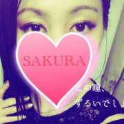 ヒメ日記 2025/02/27 12:39 投稿 サクラ 玉乱☆痴（たまらんち）