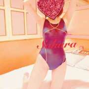 ヒメ日記 2025/03/08 16:06 投稿 サクラ 玉乱☆痴（たまらんち）