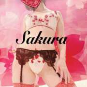 ヒメ日記 2025/03/16 19:34 投稿 サクラ 玉乱☆痴（たまらんち）