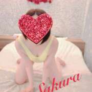 ヒメ日記 2025/03/23 17:58 投稿 サクラ 玉乱☆痴（たまらんち）