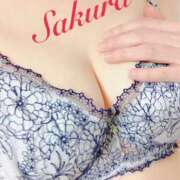 ヒメ日記 2025/03/28 19:45 投稿 サクラ 玉乱☆痴（たまらんち）