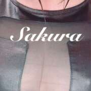 ヒメ日記 2025/03/31 13:38 投稿 サクラ 玉乱☆痴（たまらんち）