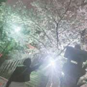 ヒメ日記 2025/04/02 16:27 投稿 サクラ 玉乱☆痴（たまらんち）