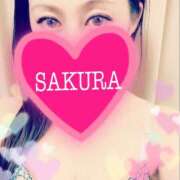 ヒメ日記 2025/04/05 13:07 投稿 サクラ 玉乱☆痴（たまらんち）