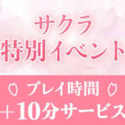 ヒメ日記 2025/04/12 12:30 投稿 サクラ 玉乱☆痴（たまらんち）