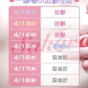 ヒメ日記 2025/04/12 12:17 投稿 サクラ 玉乱☆痴（たまらんち）