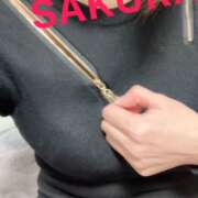 ヒメ日記 2025/04/13 11:31 投稿 サクラ 玉乱☆痴（たまらんち）