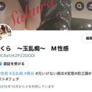 ヒメ日記 2025/04/14 08:28 投稿 サクラ 玉乱☆痴（たまらんち）