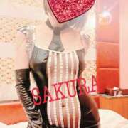 ヒメ日記 2025/10/31 17:38 投稿 サクラ 玉乱☆痴（たまらんち）