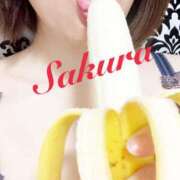 ヒメ日記 2025/11/07 17:46 投稿 サクラ 玉乱☆痴（たまらんち）