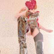 サクラ 今年も 玉乱☆痴（たまらんち）