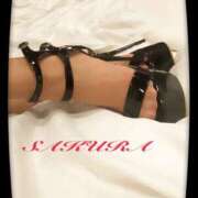 ヒメ日記 2026/01/19 08:19 投稿 サクラ 玉乱☆痴（たまらんち）