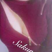 サクラ 今日から 玉乱☆痴（たまらんち）