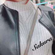 ヒメ日記 2026/03/13 12:21 投稿 サクラ 玉乱☆痴（たまらんち）