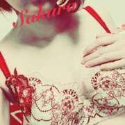 ヒメ日記 2026/03/14 10:58 投稿 サクラ 玉乱☆痴（たまらんち）