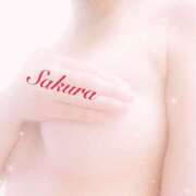 ヒメ日記 2026/03/14 12:17 投稿 サクラ 玉乱☆痴（たまらんち）