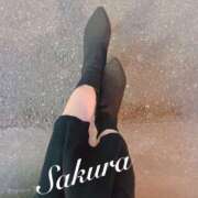 ヒメ日記 2026/03/29 13:34 投稿 サクラ 玉乱☆痴（たまらんち）